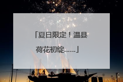 夏日限定！温县荷花初绽……