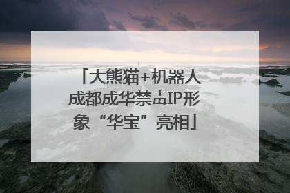 大熊猫+机器人 成都成华禁毒IP形象“华宝”亮相