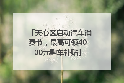 天心区启动汽车消费节，最高可领4000元购车补贴