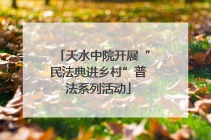 天水中院开展“民法典进乡村”普法系列活动