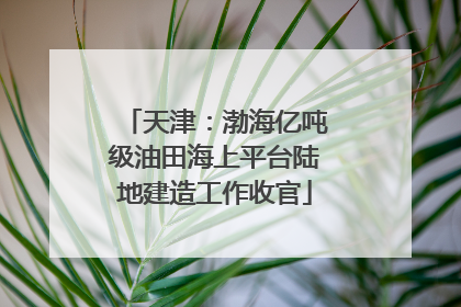 天津：渤海亿吨级油田海上平台陆地建造工作收官