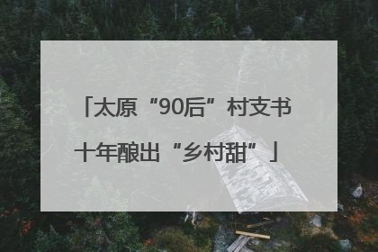 太原“90后”村支书十年酿出“乡村甜”