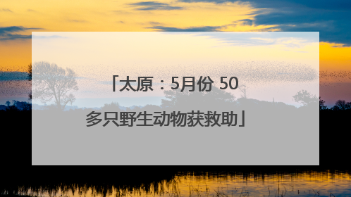 太原：5月份 50多只野生动物获救助