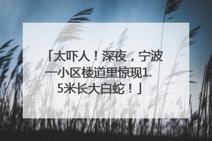 太吓人！深夜，宁波一小区楼道里惊现1.5米长大白蛇！