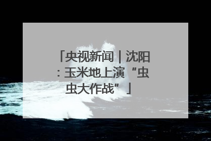 央视新闻｜沈阳：玉米地上演“虫虫大作战”