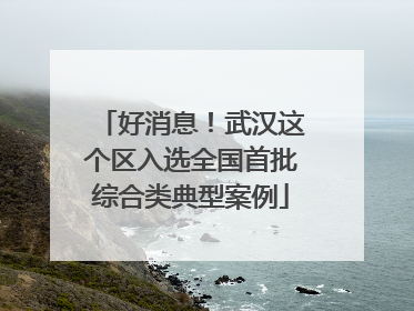 好消息！武汉这个区入选全国首批综合类典型案例