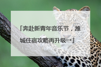 奔赴新青年音乐节，潍城住宿攻略再升级→