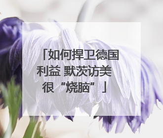 如何捍卫德国利益 默茨访美很“烧脑”