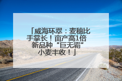威海环翠：麦穗比手掌长！亩产高1倍 新品种“巨无霸”小麦丰收！