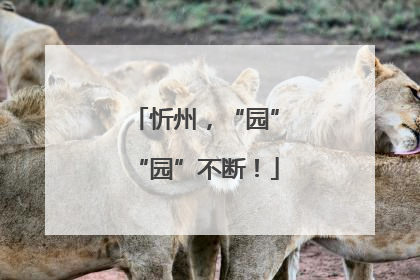 忻州，“园”“园”不断！