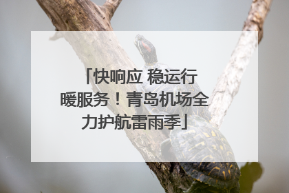 快响应 稳运行 暖服务！青岛机场全力护航雷雨季