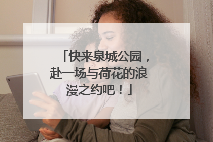快来泉城公园，赴一场与荷花的浪漫之约吧！