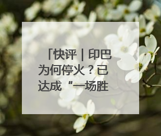 快评｜印巴为何停火？已达成“一场胜利，各自表述”的效果
