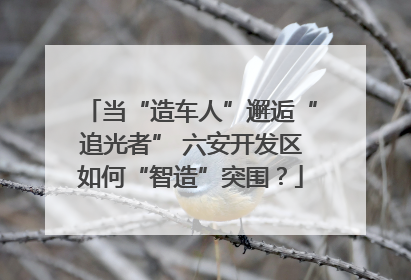 当“造车人”邂逅“追光者” 六安开发区如何“智造”突围？