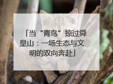 当“青鸟”掠过舜皇山：一场生态与文明的双向奔赴