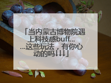 当内蒙古博物院遇上科技感buff……这些玩法，有你心动的吗↓↓↓