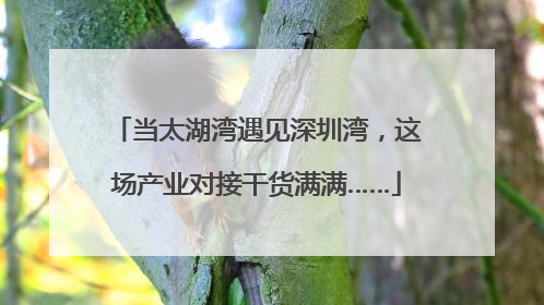 当太湖湾遇见深圳湾，这场产业对接干货满满……