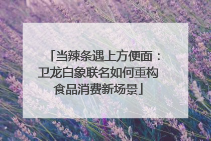 当辣条遇上方便面：卫龙白象联名如何重构食品消费新场景