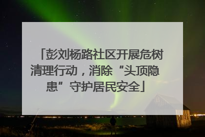 彭刘杨路社区开展危树清理行动，消除“头顶隐患”守护居民安全