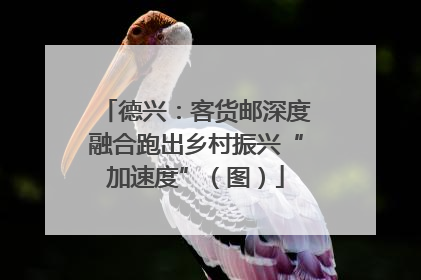 德兴：客货邮深度融合跑出乡村振兴“加速度”（图）