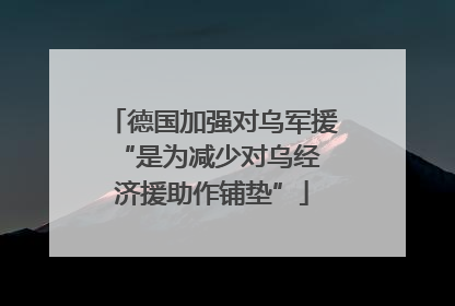 德国加强对乌军援 “是为减少对乌经济援助作铺垫”