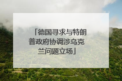 德国寻求与特朗普政府协调涉乌克兰问题立场