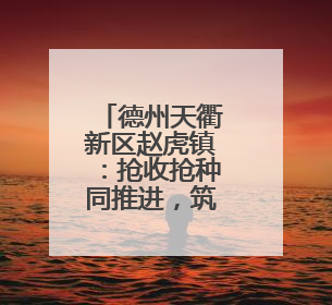 德州天衢新区赵虎镇：抢收抢种同推进，筑牢“三夏”生产防线