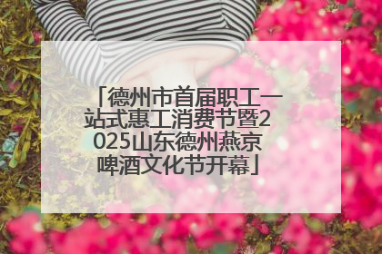 德州市首届职工一站式惠工消费节暨2025山东德州燕京啤酒文化节开幕