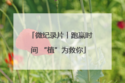 微纪录片丨跑赢时间 “植”为救你
