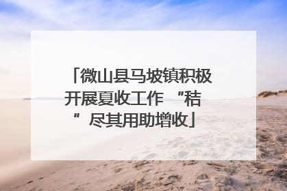 微山县马坡镇积极开展夏收工作 “秸”尽其用助增收