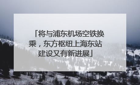 将与浦东机场空铁换乘，东方枢纽上海东站建设又有新进展