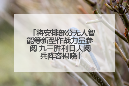 将安排部分无人智能等新型作战力量参阅 九三胜利日大阅兵阵容揭晓