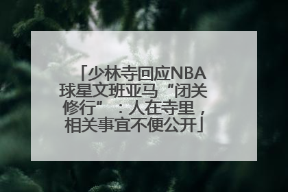 少林寺回应NBA球星文班亚马“闭关修行”：人在寺里，相关事宜不便公开