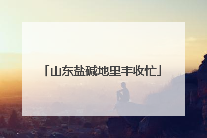 山东盐碱地里丰收忙