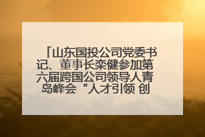 山东国投公司党委书记、董事长栾健参加第六届跨国公司领导人青岛峰会“人才引领 创新驱动”人力资源高质量发展对话会