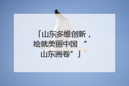 山东多维创新，绘就美丽中国 “山东画卷”