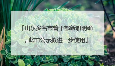 山东多名市管干部新职明确，此前公示拟进一步使用