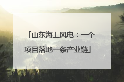 山东海上风电：一个项目落地一条产业链