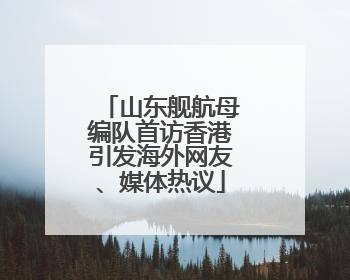 山东舰航母编队首访香港引发海外网友、媒体热议