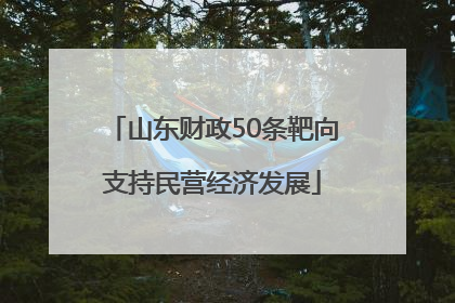 山东财政50条靶向支持民营经济发展
