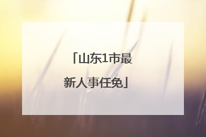 山东1市最新人事任免