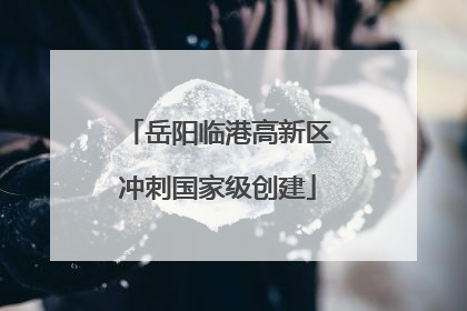 岳阳临港高新区冲刺国家级创建