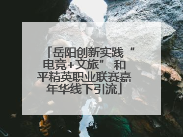 岳阳创新实践“电竞+文旅” 和平精英职业联赛嘉年华线下引流