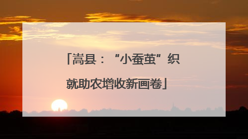 嵩县：“小蚕茧”织就助农增收新画卷
