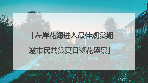 左岸花海进入最佳观赏期 邀市民共赏夏日繁花盛景
