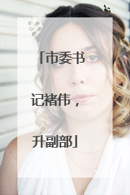 市委书记褚伟，升副部