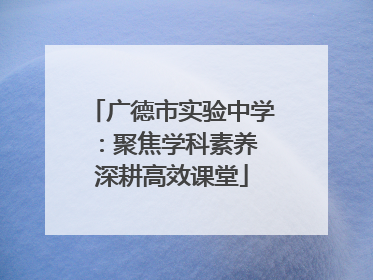 广德市实验中学：聚焦学科素养 深耕高效课堂