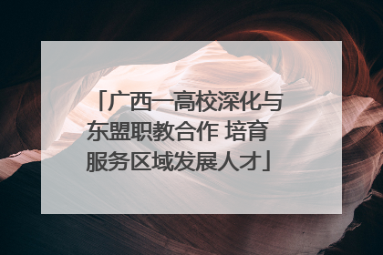 广西一高校深化与东盟职教合作 培育服务区域发展人才