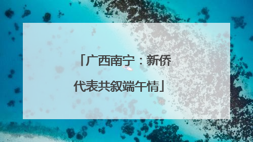 广西南宁：新侨代表共叙端午情