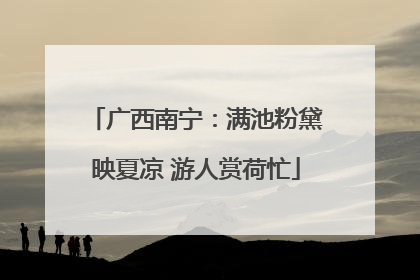 广西南宁：满池粉黛映夏凉 游人赏荷忙